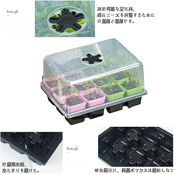 61U1GwvtzxL._AC_UF350,