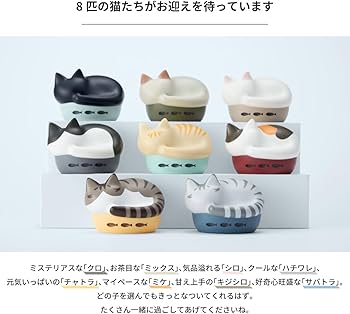 Amazon.co.jp: ラディウス radius HP-C28BT 完全ワイヤレスイヤホン