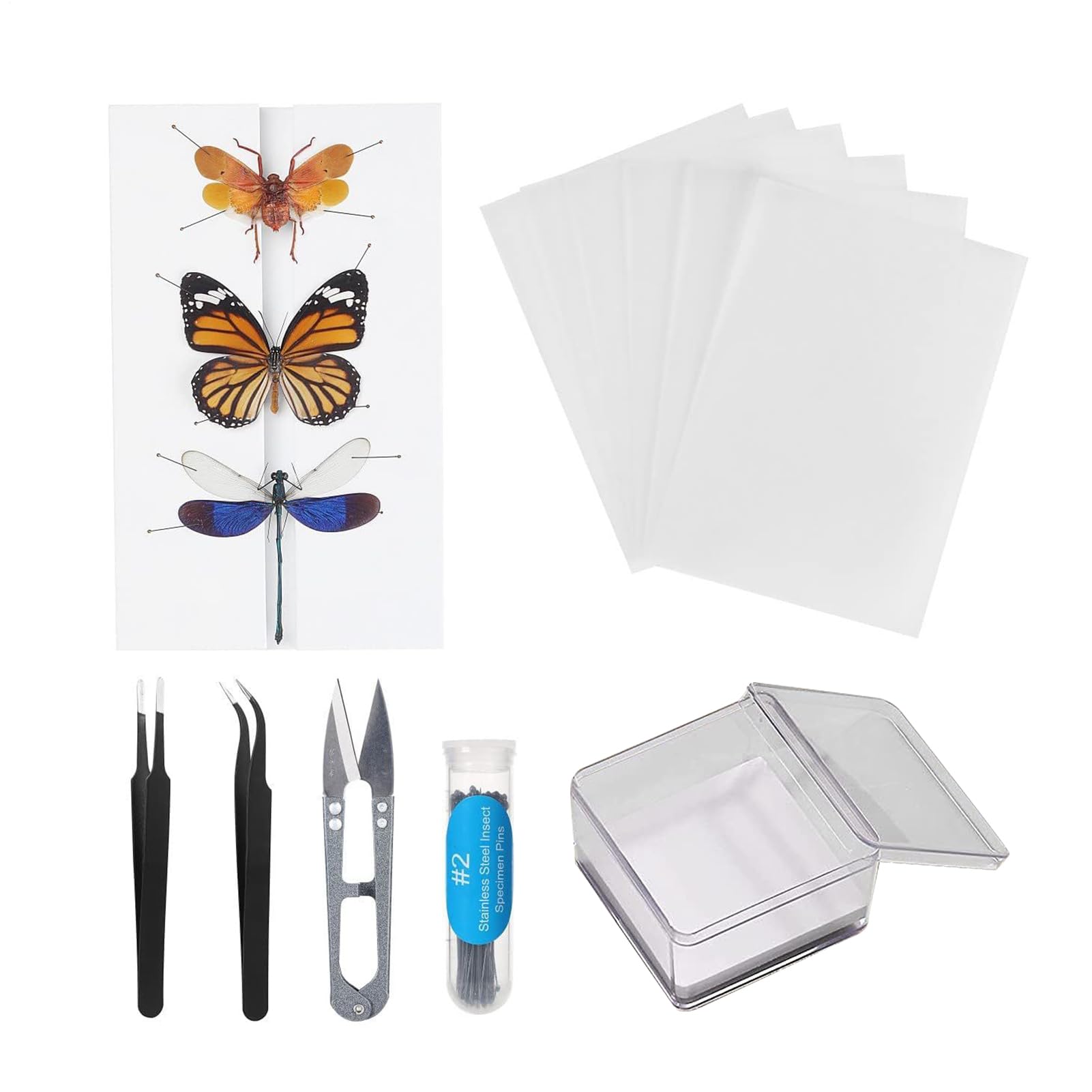 Amazon | 標本ツール 昆虫標本キット 標本作成ツールセット 蝶標本