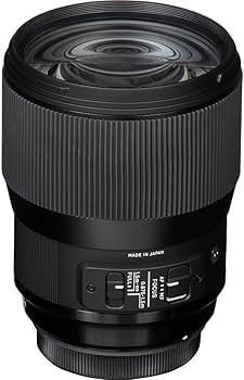 Amazon.com : Sigma 135mm F1.8 Art DG HSM for Sony E : Electronics