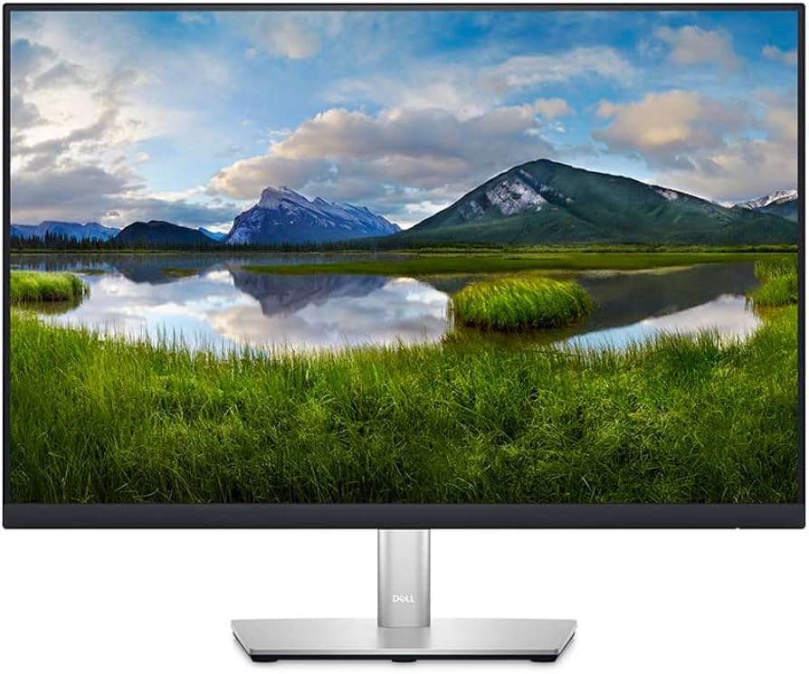 Amazon.com: Dell P2423 24 Inch WUXGA (1920x1200) 16:10 Monitor