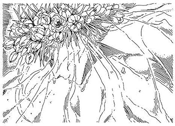 宝石の国(12)特装版 (講談社キャラクターズA) | 市川 春子 |本 | 通販