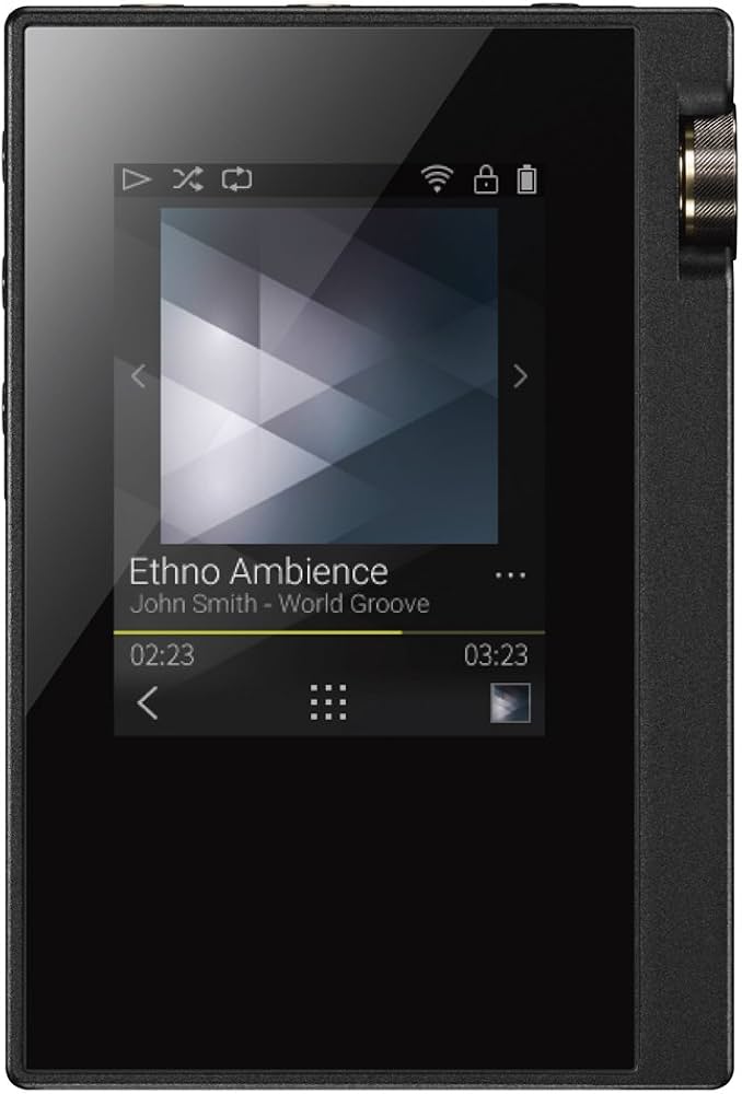 Amazon.com: ONKYO rubato DP-S1(B)【Ultrahigh Resolution Play