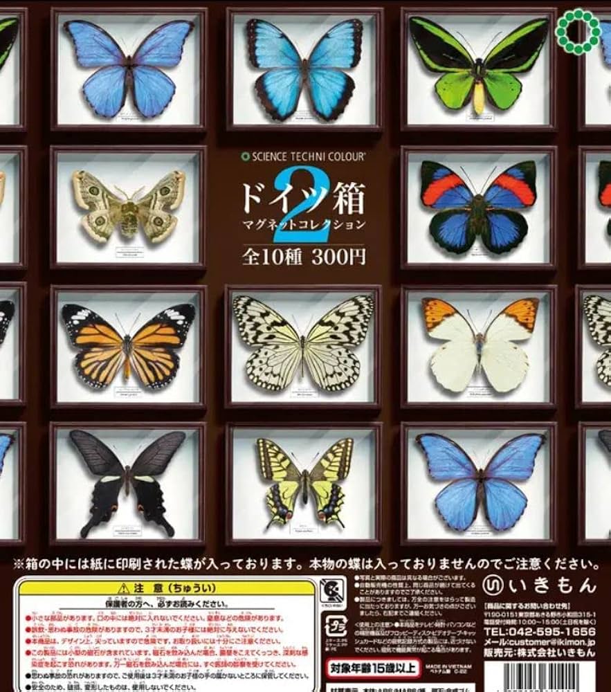 Amazon.co.jp: ドイツ箱マグネットコレクション2 全10種セット 蝶 標本