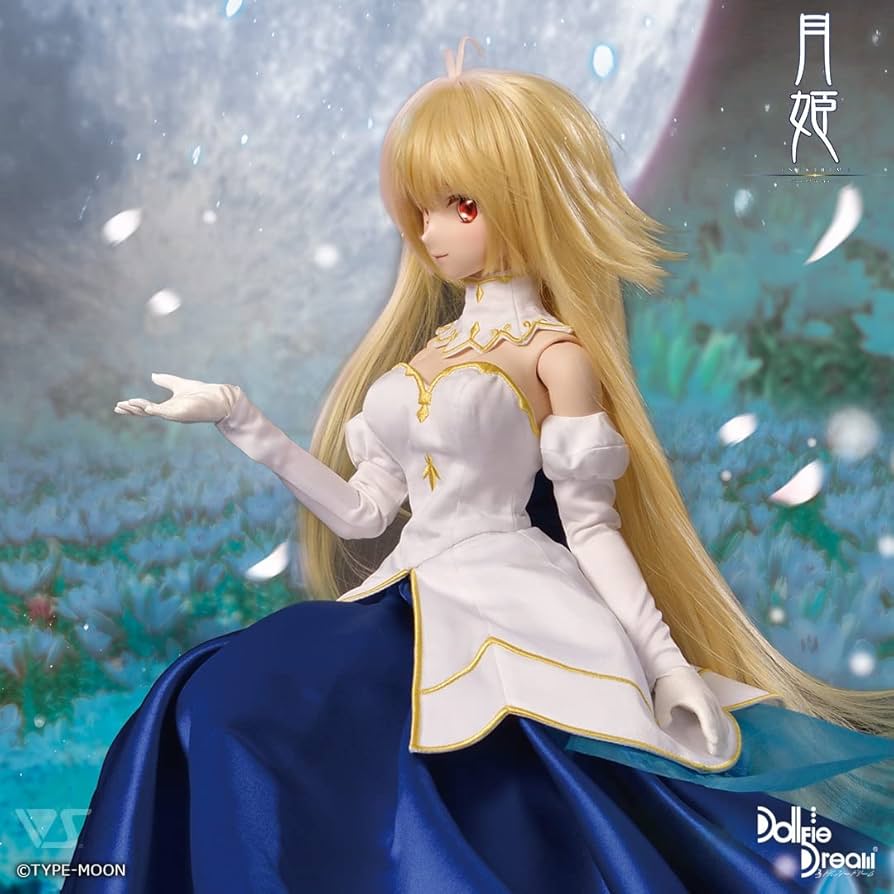 Amazon.co.jp: 真祖の姫 セット ドルパ48 DD DDS 衣装ドレス 未開封