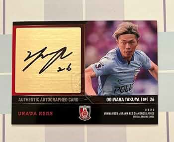 61WOvlm6dvL._AC_UF350,