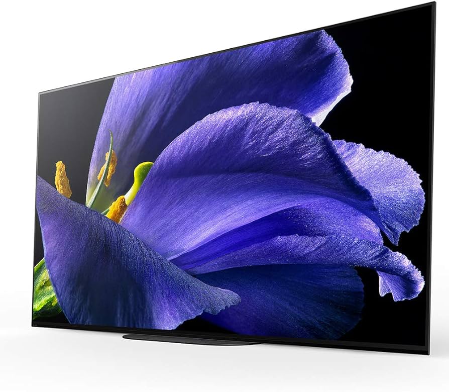 Amazon.co.jp: ソニー 65V型 有機EL テレビ ブラビア KJ-65A9G 4K