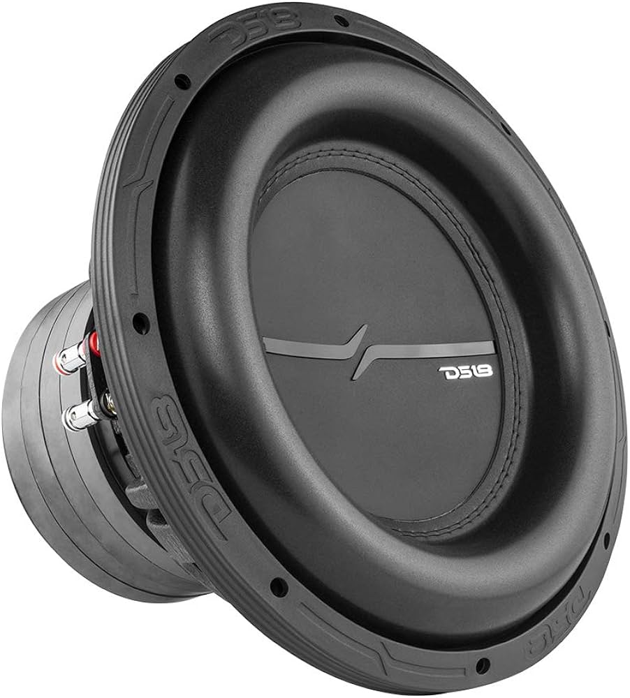 Amazon.com: DS18 Audio ZXI12.4D 12