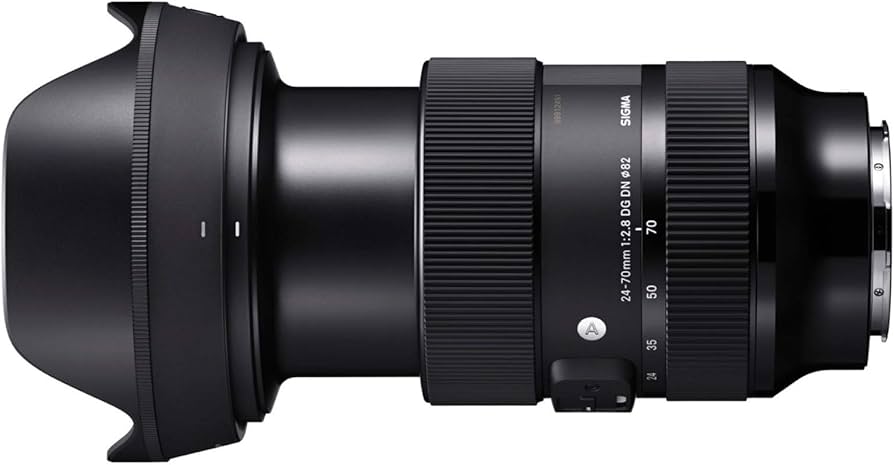 Sigma 24-70mm F2.8 DG DN Art for L Mount : Amazon.ca: Electronics