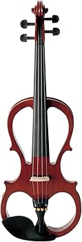 Amazon | キクタニ エレクトリックバイオリン セット 4/4サイズ ESV