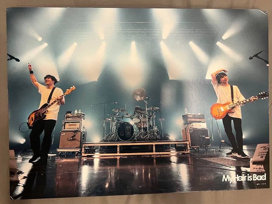 Amazon.co.jp: My Hair is Bad マイヘア CDショップ パネル : おもちゃ