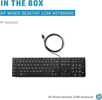 Amazon.com: HP Wired Desktop 320K Keyboard - Cable Connectivity