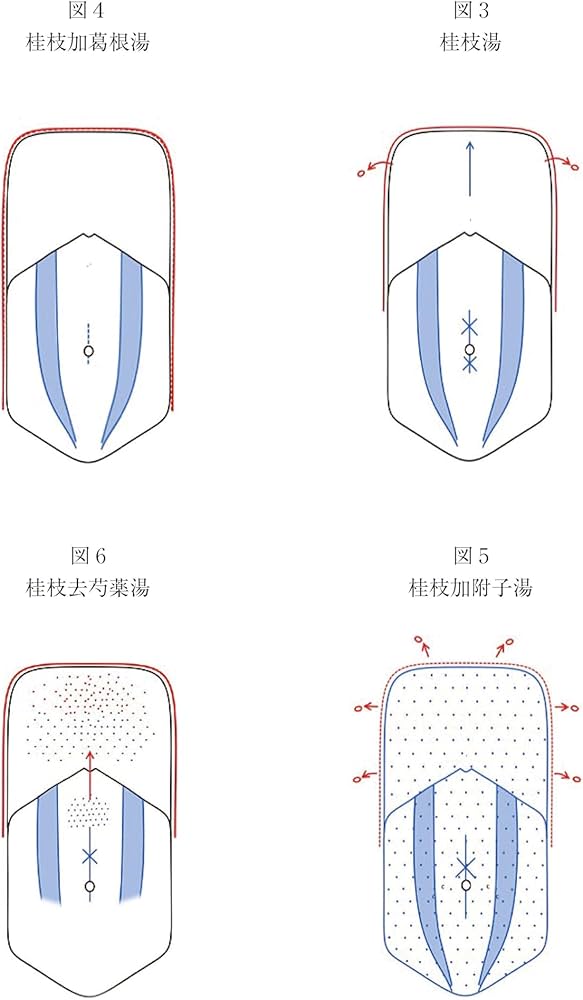Amazon.co.jp: 叢書 古方漢方の世界 傷寒論を読む : 川口 由一: 本