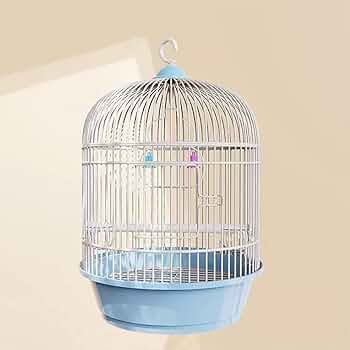 61AKI8XDE0L._AC_UF350,