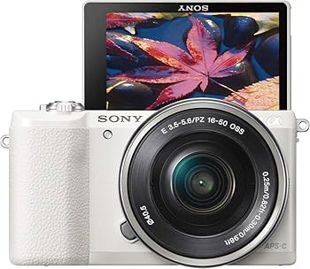 Amazon.com : Sony a5100 16-50mm Mirrorless Digital Camera with 3