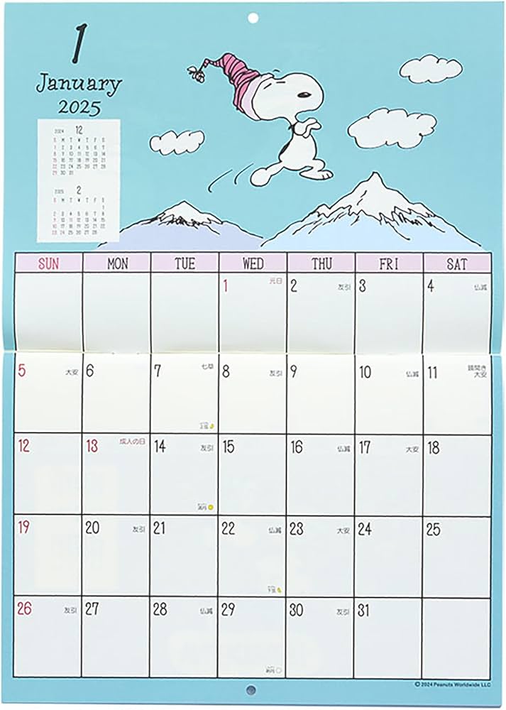Amazon.co.jp: サンリオ(SANRIO) ウォールカレンダー 横 2025年