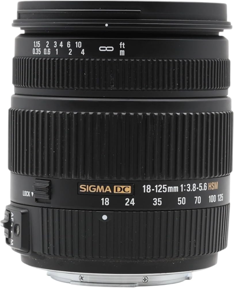 Amazon.co.jp: シグマ 18-125mm F3.8-5.6 DC HSM ソニー用 : 家電＆カメラ