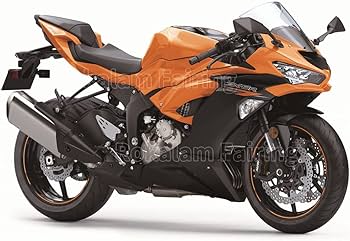 Amazon | ZX-6R用 2019 2020 2021 2022 ZX6R 636 ZX636 20 21 オレンジ