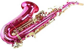 61COu4hvhiL._AC_UF350,