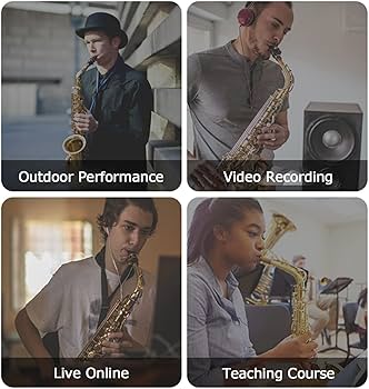 Amazon.co.jp: 楽器用マイク サックスマイク ラリネット トランペット
