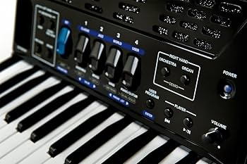 Amazon | Roland ローランド/V-Accordion FR-1X BK【純正ケース BAG-FR