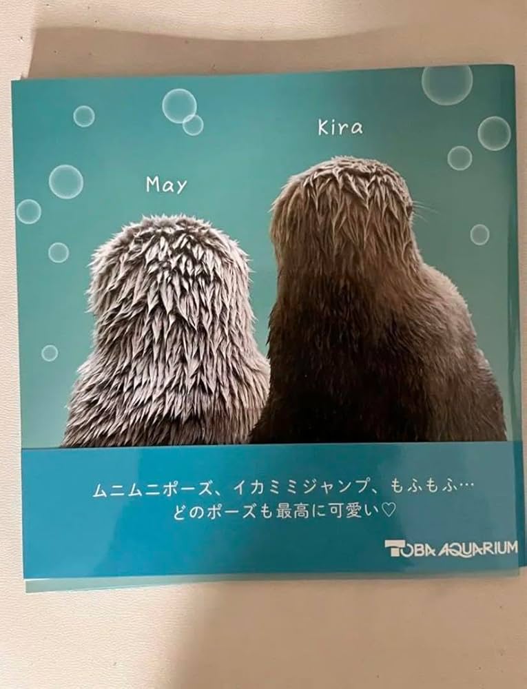 鳥羽水族館 コレクションカード メイ 鳥羽水族館 コレクションカード