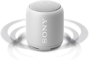 Amazon.co.jp: ソニー ワイヤレスポータブルスピーカー 重低音モデル