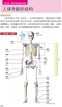 3D人体解剖百科手册人体解剖学彩色学图谱搭奈特人体解剖学彩色图谱教材