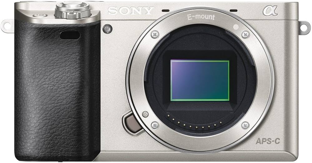 Amazon | SONY ミラーレス一眼 α6000 パワーズームレンズキット E PZ