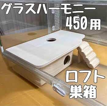 61DlYKK7TiL._AC_UF350,