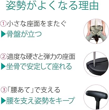 Amazon.co.jp: アーユルチェアー スツールタイプ SH49（座面の高さ