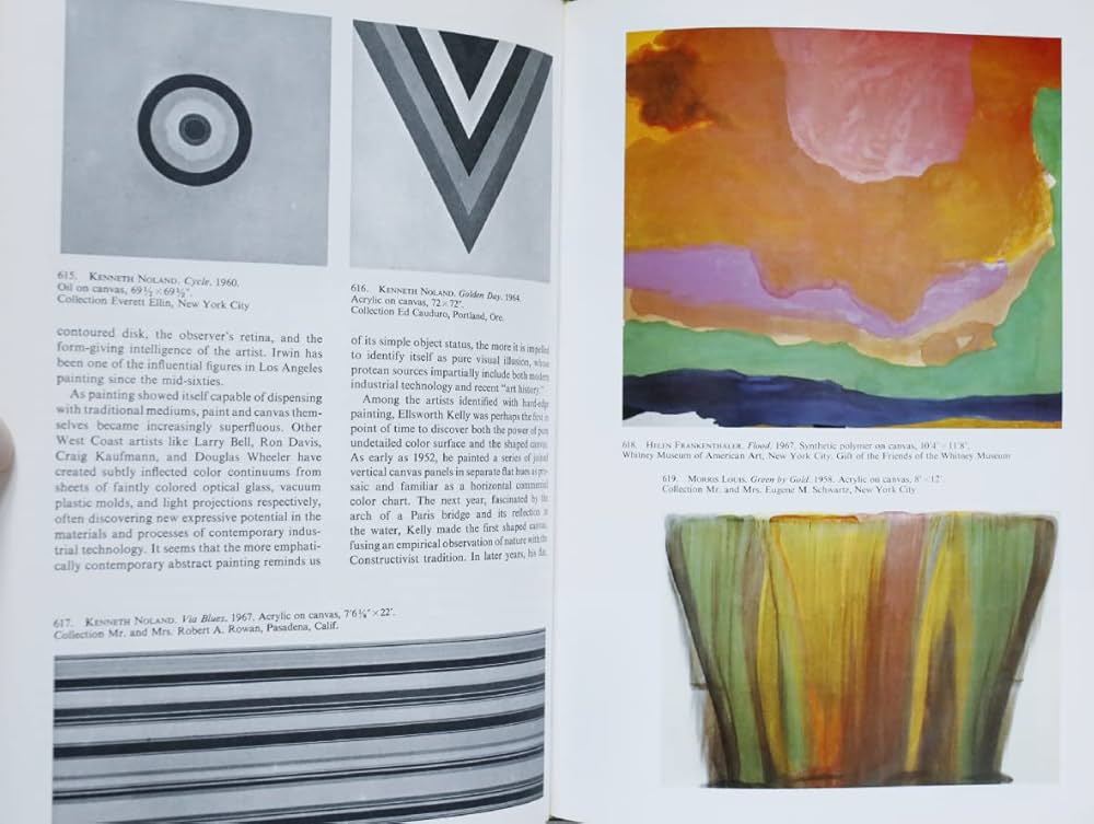 American Art of the 20th Century: Hunter, Sam: 9780500231869