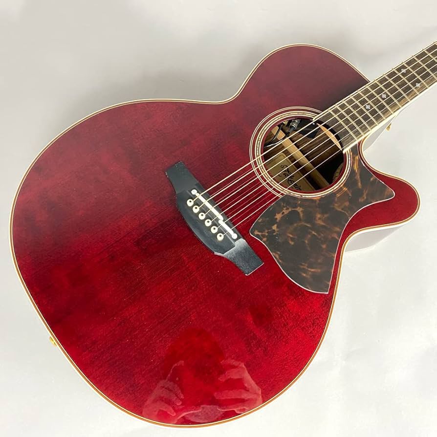 Takamine D21-WR DragonSeries アコースティックギター Takamine D21
