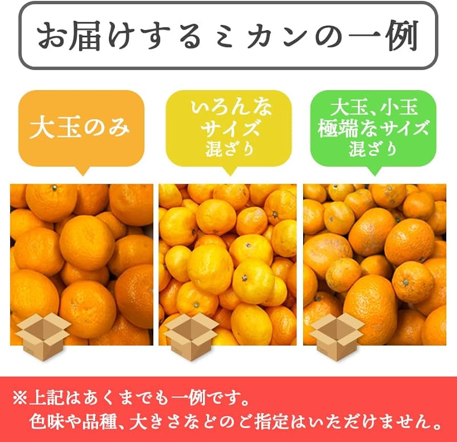 Amazon.co.jp: みかん 10kg 訳あり 有田みかん 和歌山県産 ご家庭用