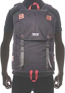 Amazon.co.jp: Patagonia パタゴニア Arbor Pack 26L アーバーパック