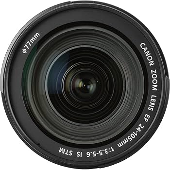 Amazon.com : Canon EF 24-105mm f/3.5-5.6 is STM Lens : Electronics