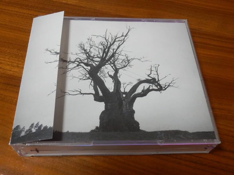 Amazon.co.jp: SEKAI NO OWARI CD2枚組ベストアルバム「SEKAI NO OWARI