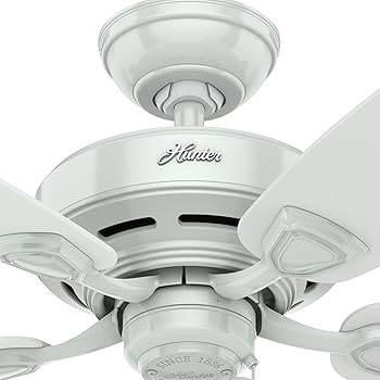 Hunter 48 inch Outdoor or Indoor Ceiling Fan No Light - White