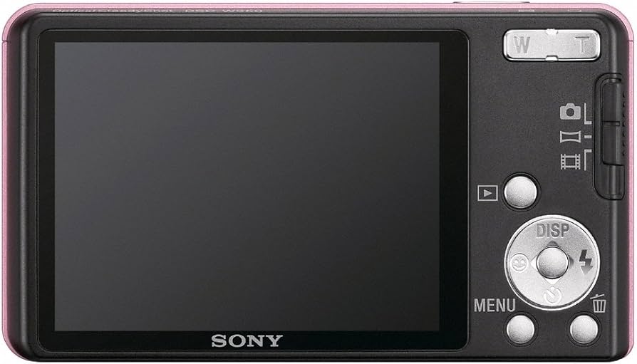 Amazon.com : Sony DSC-W350 14.1MP Digital Camera with 4x Wide