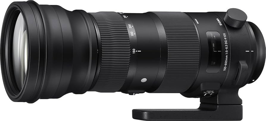 Amazon.com : Sigma 150-600mm 5-6.3 Sports DG OS HSM Lens for Canon