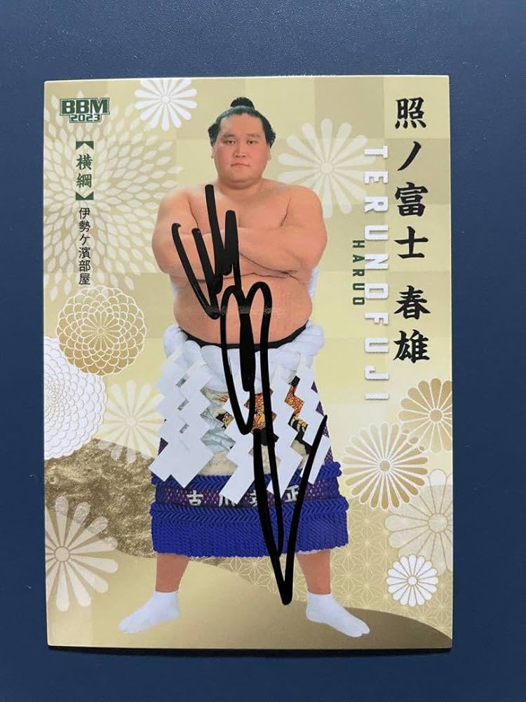 Amazon.co.jp: 貴重 大相撲 カードBBM2023絆 横綱 照ノ富士 直筆サイン