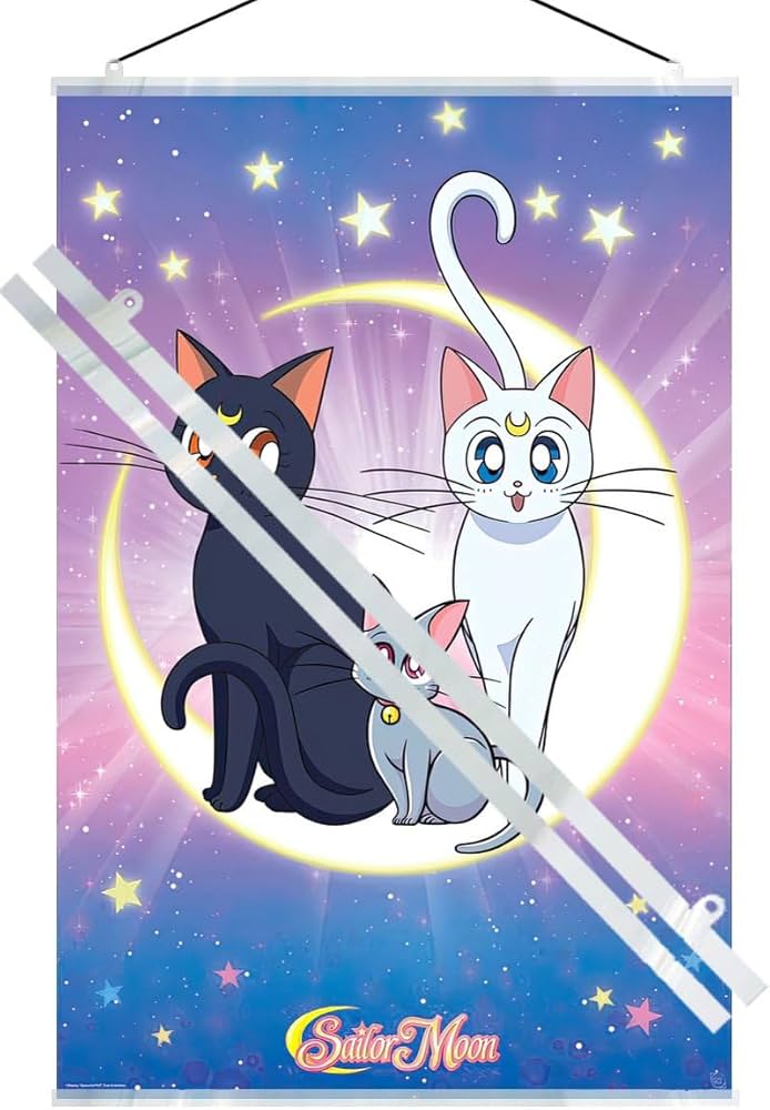 Amazon.co.jp: 美少女戦士セーラームーン - マンガ/アニメTV番組