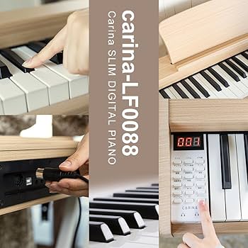 Amazon | Carina 電子ピアノ 88鍵盤 キーボード 木製デザイン MIDI対応