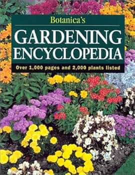 61GE31J7ZQL._AC_UF350,