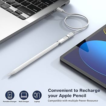 Amazon.com: USB C to iPencil Adapter for iPad 10 11 A16, Type C to