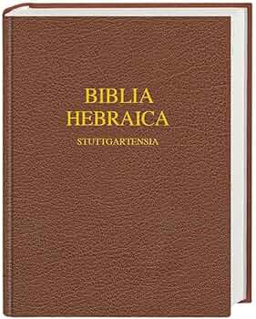 Amazon.co.jp: Biblia Hebraica Stuttgartensia, Wide-Margin Edition : 本