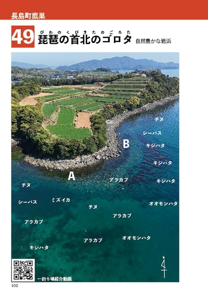 Amazon.co.jp: 空撮釣り場ガイド 長島版（オーシャンズ出版