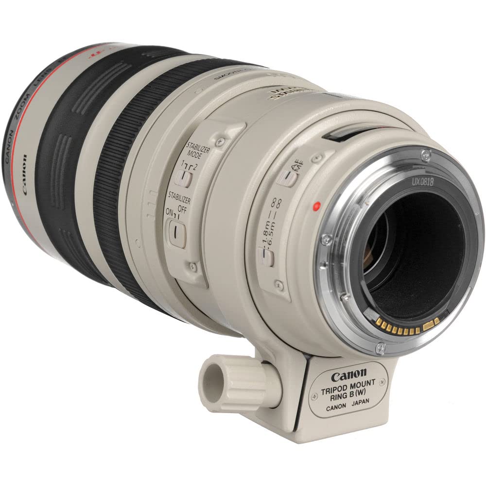 Amazon.com : Canon EF 100-400mm f/4.5-5.6L is USM Telephoto Zoom