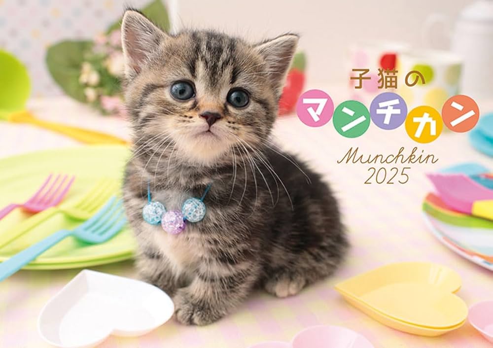 Amazon.co.jp: トライエックス 子猫のマンチカン 2025年カレンダー CL
