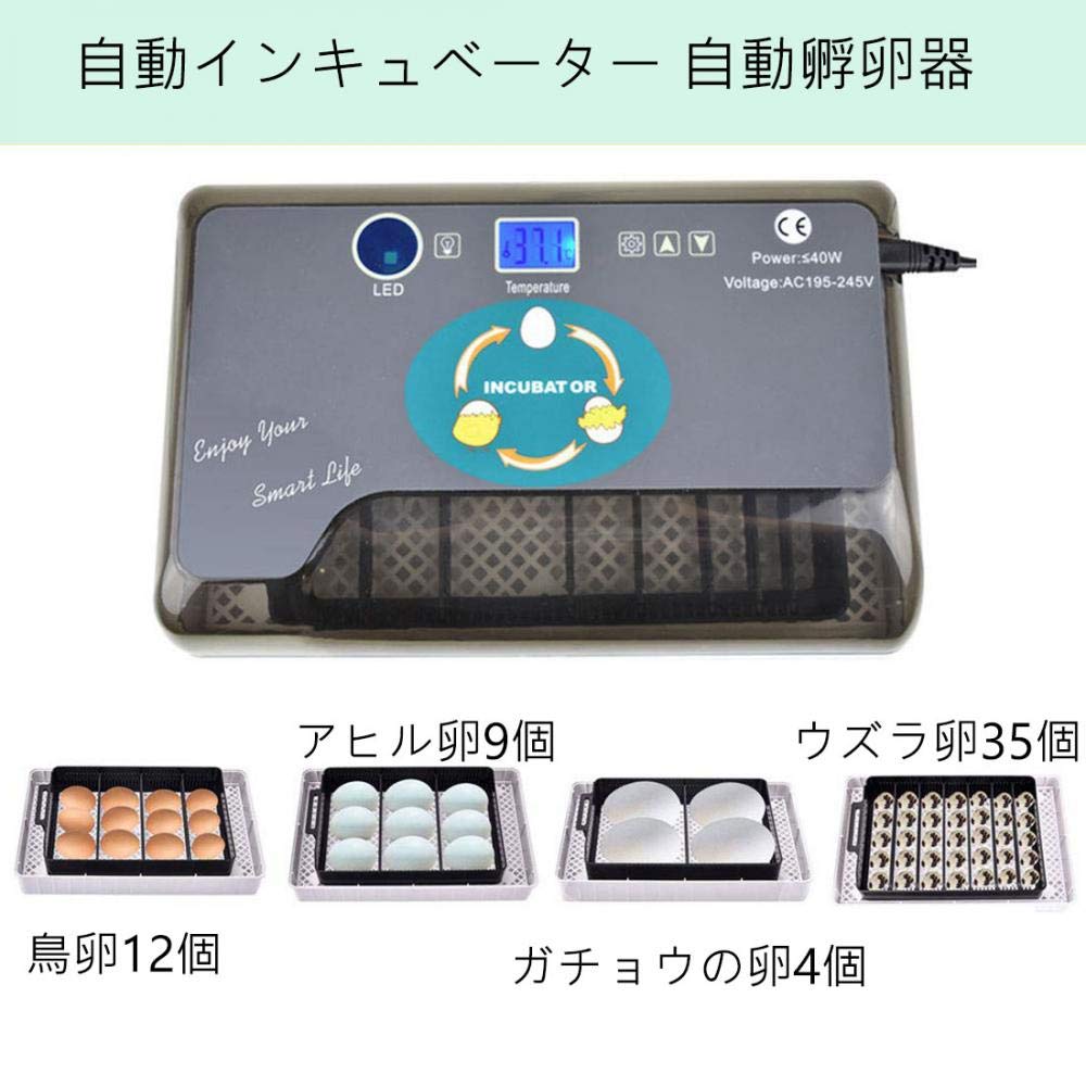Amazon.co.jp: （nsbs）自動インキュベーター 自動孵卵器 孵卵機 12個